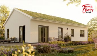 News-06-09-Dachbegrünung